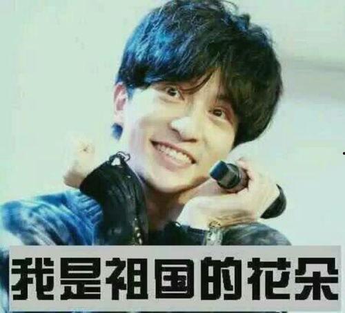 薛之谦表情包gift,薛之谦表情包“gift”背后的故事与魅力
