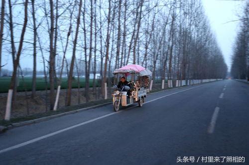 为自己活的图片,绽放独特光彩