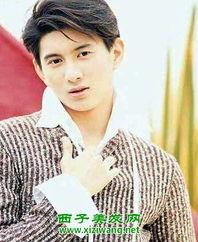 吴奇隆的个人资料,从偶像到实力派演员，多栖发展的人生传奇