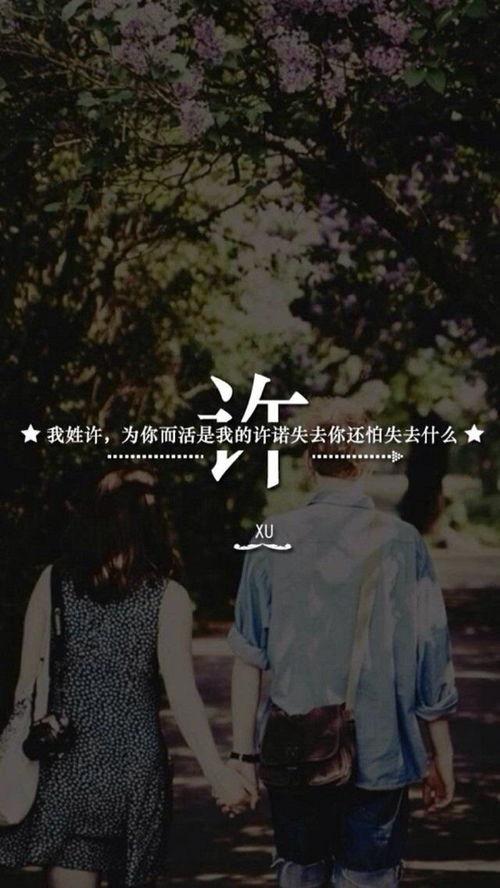 姓许的图片,传承与创新的视觉之旅